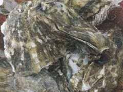 -公平面馆(总店)