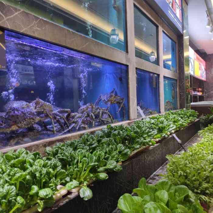 酩悦海鲜(桐乡店)夜宵上市-"[薄荷]环境:装修的很别致,有点独具一.