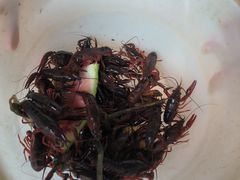 -同銮特种养殖场·龙虾垂钓