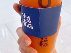 -春丽小马(济南恒隆广场店)