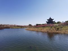 -上海海湾国家森林公园