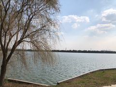 -漕湖湿地公园