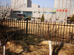 -中粮丰通（北京)食品有限公司