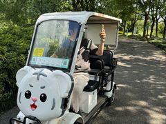 -荷塘月色湿地公园·向阳花洲