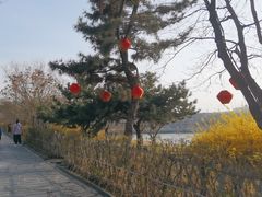 -蓬莱阁景区