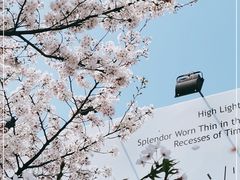 -龙美术馆(西岸馆)