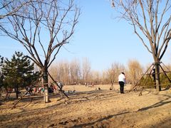 -东郊湿地公园