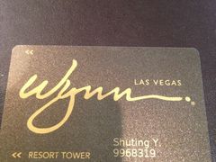 拉斯维加斯永利酒店-拉斯维加斯永利酒店