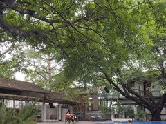 -喜洲吧·江畔老船厂·庭院餐厅(喜临院店)