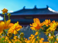 -五台山风景区