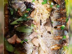 -金厨帽烤鱼(芦庄店)