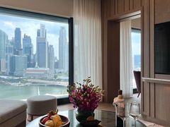 -新加坡文华东方酒店