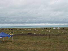 -青海湖国家重点风景名胜区