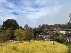 -塔川景区