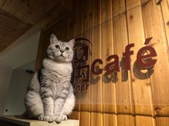 门面-隅cafe(傅厚岗店)