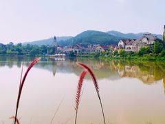 -美的鹭湖森林度假区