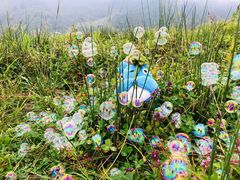 -硗碛藏寨·神木垒景区