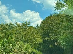 -白云源风景区