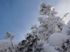 -亚布力新体委滑雪场