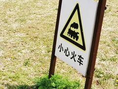 -永定河休闲森林公园