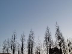 -澹台湖公园