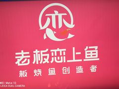 -老板恋上鱼(恒隆广场店)