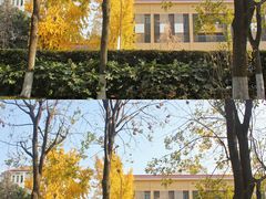 -明故宫遗址公园