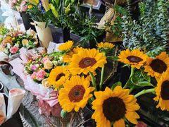 -拾花记花艺·求婚·订婚·生日布置(高新店)