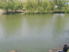 -宿豫区运河湾森林动物园