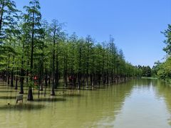 -泗洪洪泽湖湿地景区