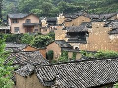 -杨家堂村