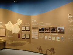 -恩格贝生态旅游区