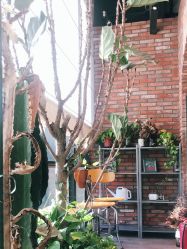 -THE BARN大屋理发馆