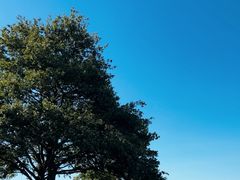-伯利·格里芬湖