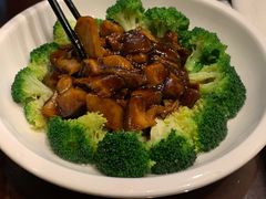 蚝油双菇-德兴馆(山西南路店)