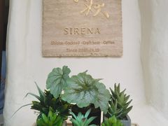 -Sirena海妖日咖夜酒