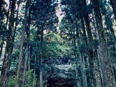 -上色见熊野座神社