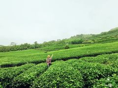 -优游吧斯邹族文化部落