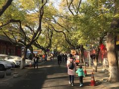 -北京国子监胡同