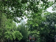 -紫金山索道-售票处