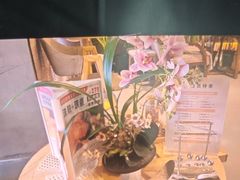 -施奈儿.洗头頭療.按摩SPA.采耳(上梅林店)