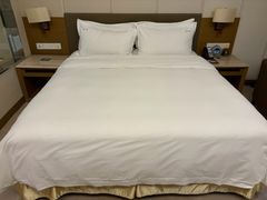 -南阳建业森林半岛假日酒店