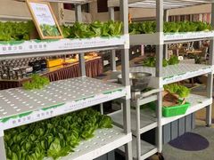 -佰园全日西餐厅-厦门佰翔软件园酒店