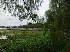 -鸣鹤古镇