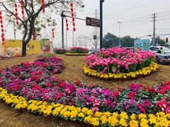 -三圣花乡旅游区