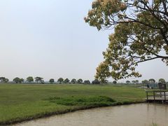 -上海都市菜园
