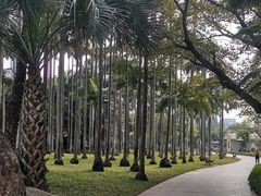 -荔枝公园(福田区)
