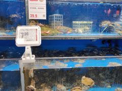 -盒马鲜生(双清路店)