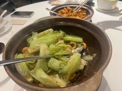 啫啫生菜-陶陶居·雅园(凯华国际店)