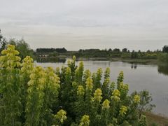 -东郊湿地公园